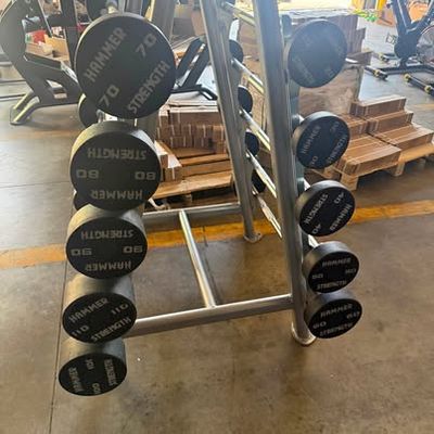 Hammer Strength Dumbbell Set 20–110 lbs w/ Cybex Commercial Rack