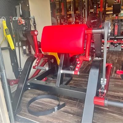 Panatta replica preacher curl machine