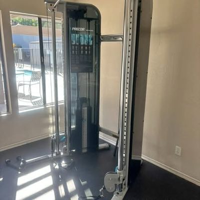 Precor FTS Dual Adjustable Pulley (DAP) – Great Condition