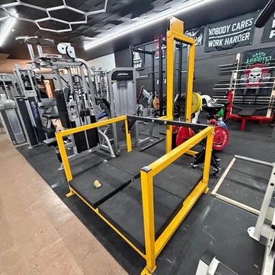 Elite fts belt squat V1