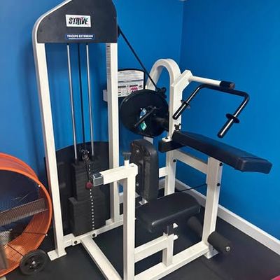 Strive Fitness Tricep Extension Machine