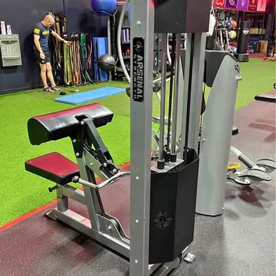 Arsenal Strength M1 SELECTORIZED BICEP CURL