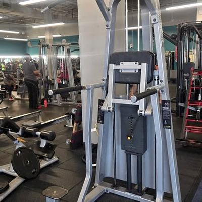 Precor Icarian Weight Assist Chin Dip
