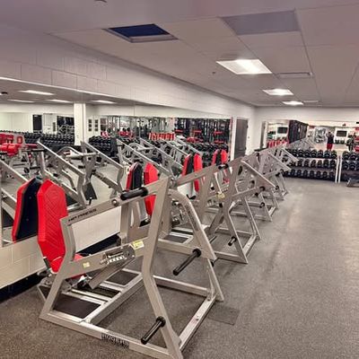 Rogers athletic pendulum hip press